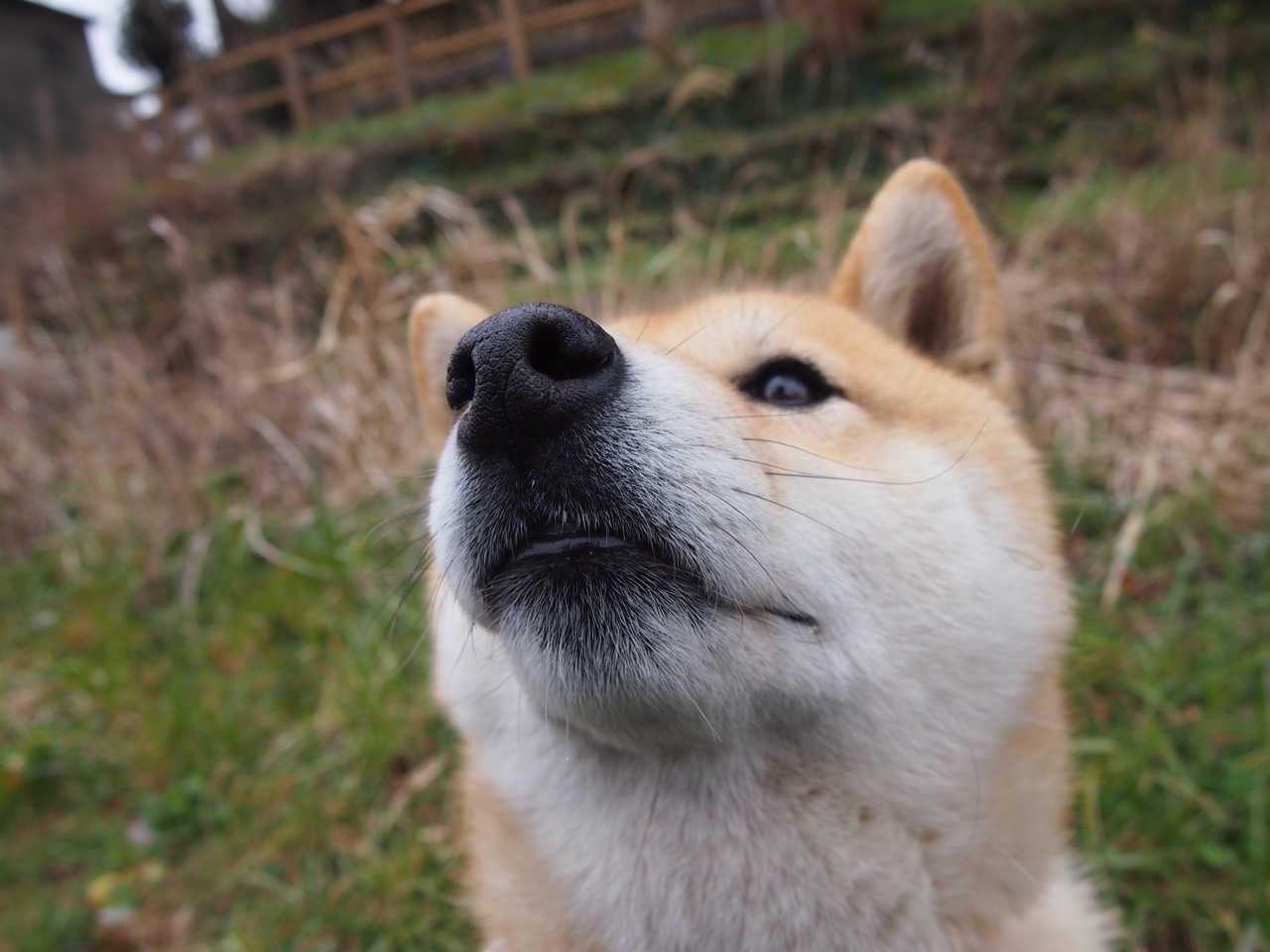 桑巴鏖战与铁翼制胜,阿什拉夫如何将两种足球哲学融于一脚