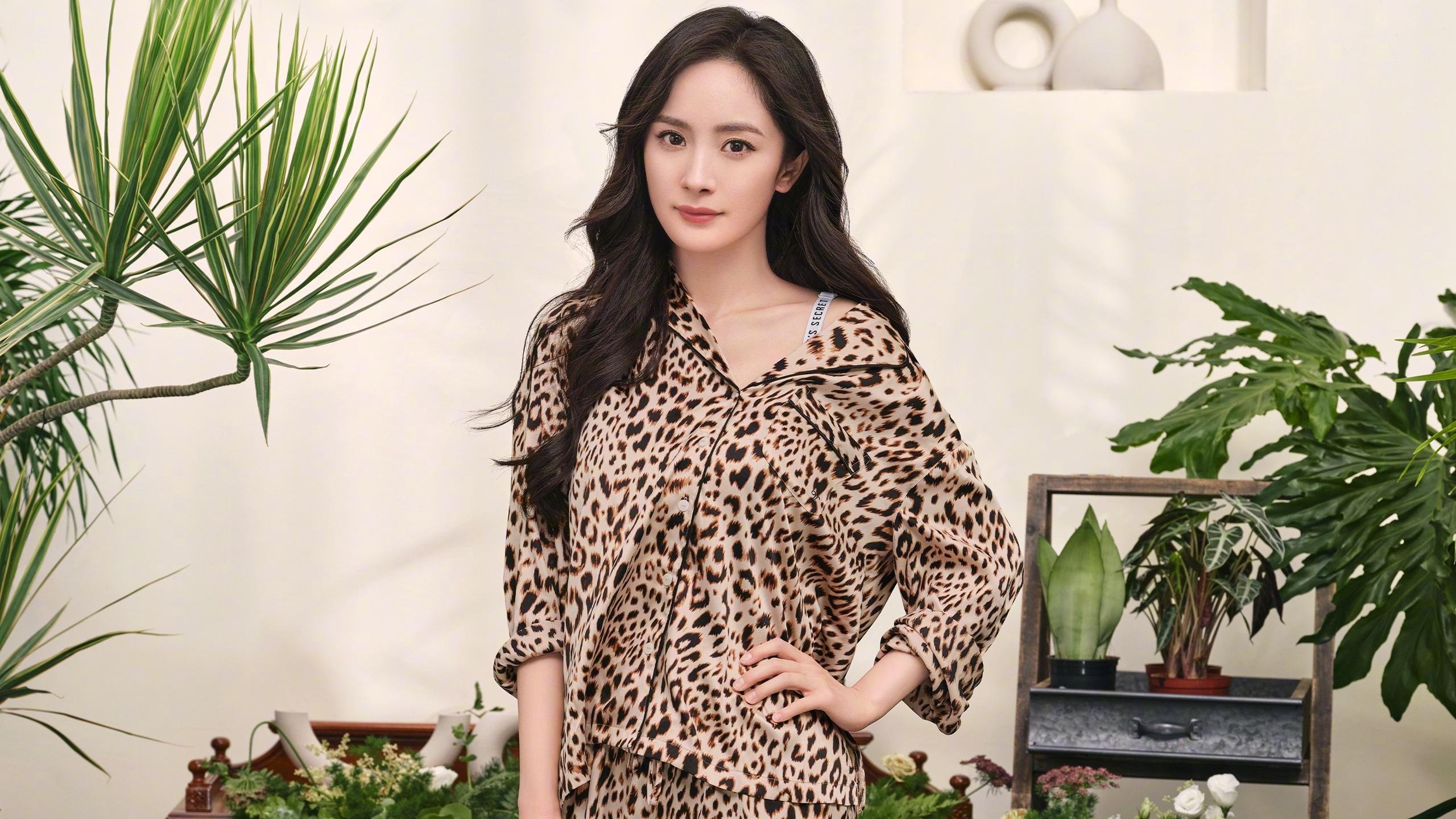 唯一破局者,当阿森纳的铁壁遇见莱奥的剑