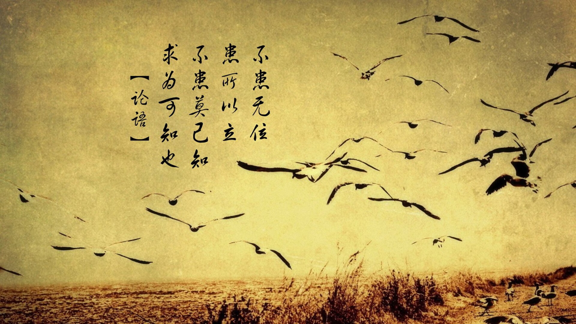 以足为琴，京多安在温布利的节奏诗篇