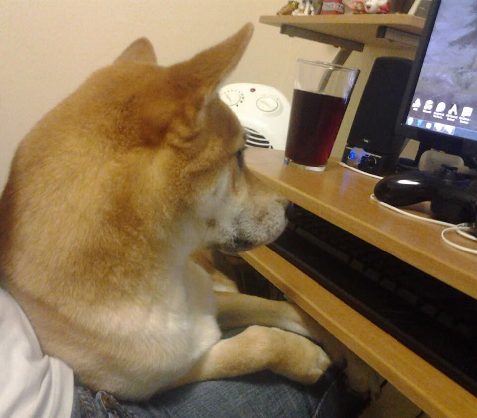 降维打击?不,这是篮球本来的样子,拉文在湖人对广厦之战中展现绝对统治