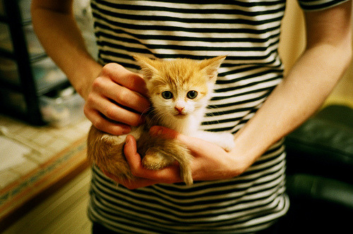 极速跨界,当小贾伦的统治力降临F1之夜