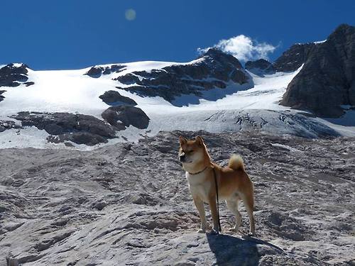 福克斯的指挥艺术,奇才如何用战术铁钳锁死浙江队的进攻狂潮