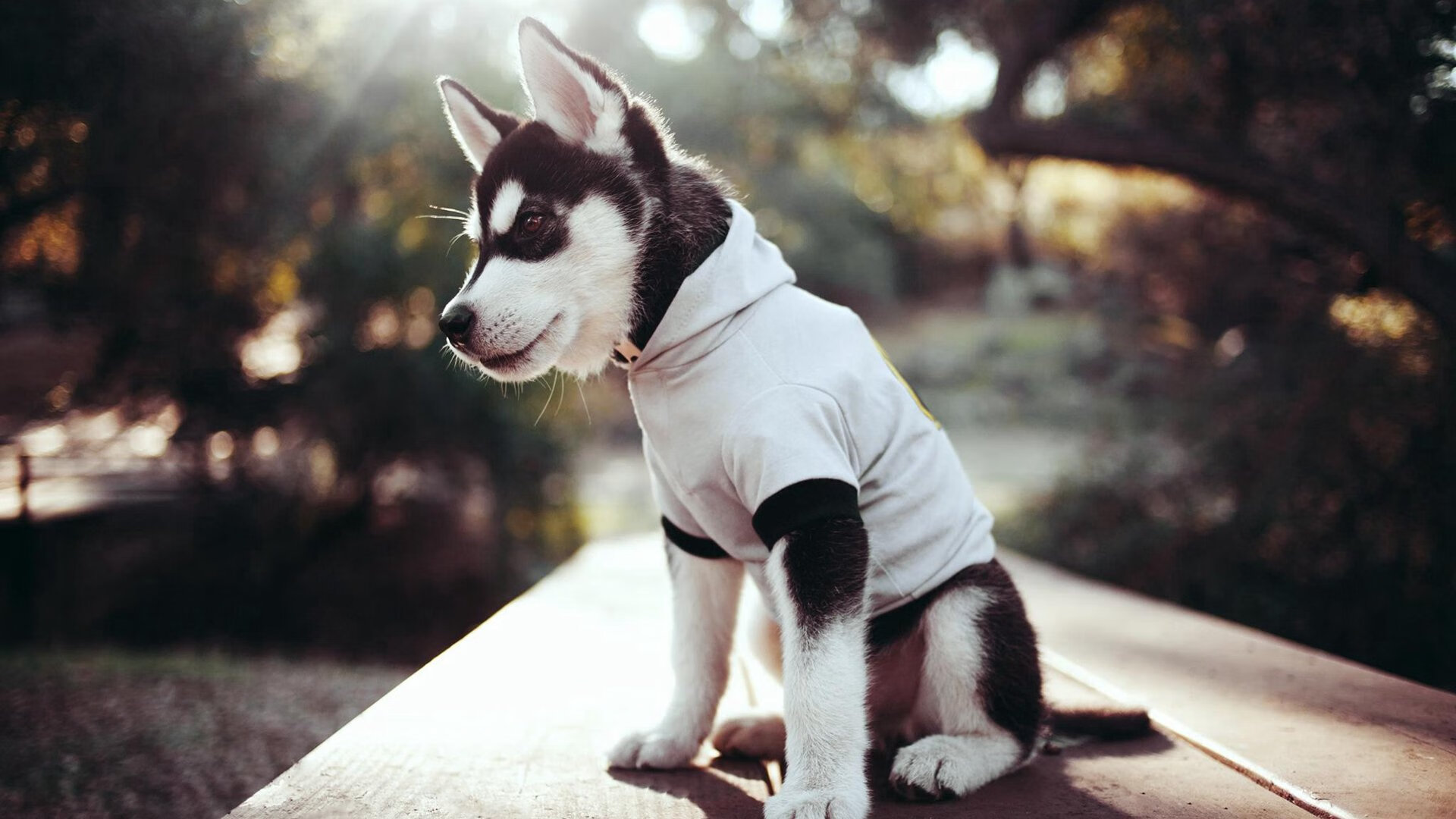 当安达卢西亚的阳光照亮生死战，门迪与贝蒂斯的韩国之夜