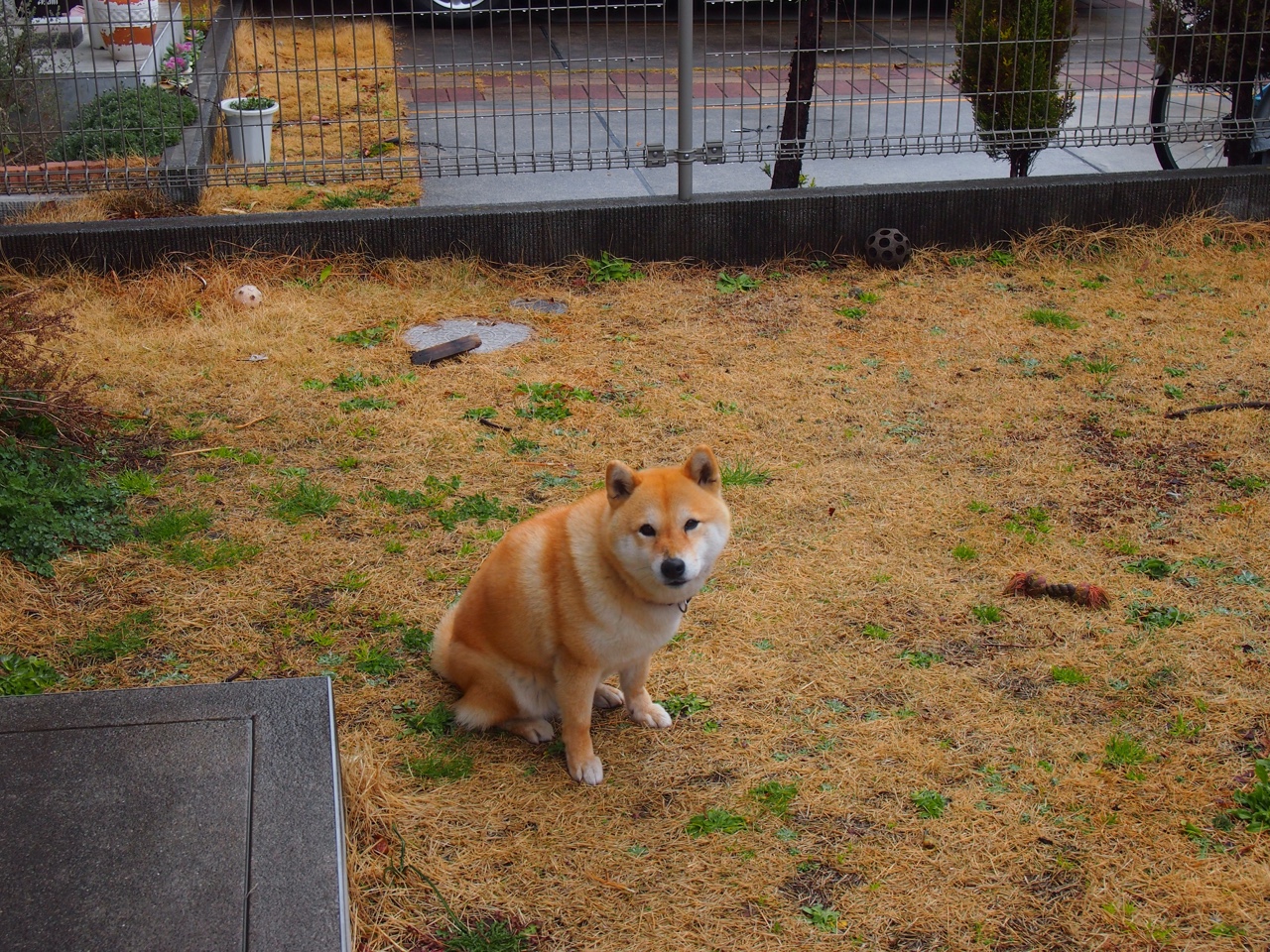 速度与逆转,F1新赛季与魔术逆袭的独特周末