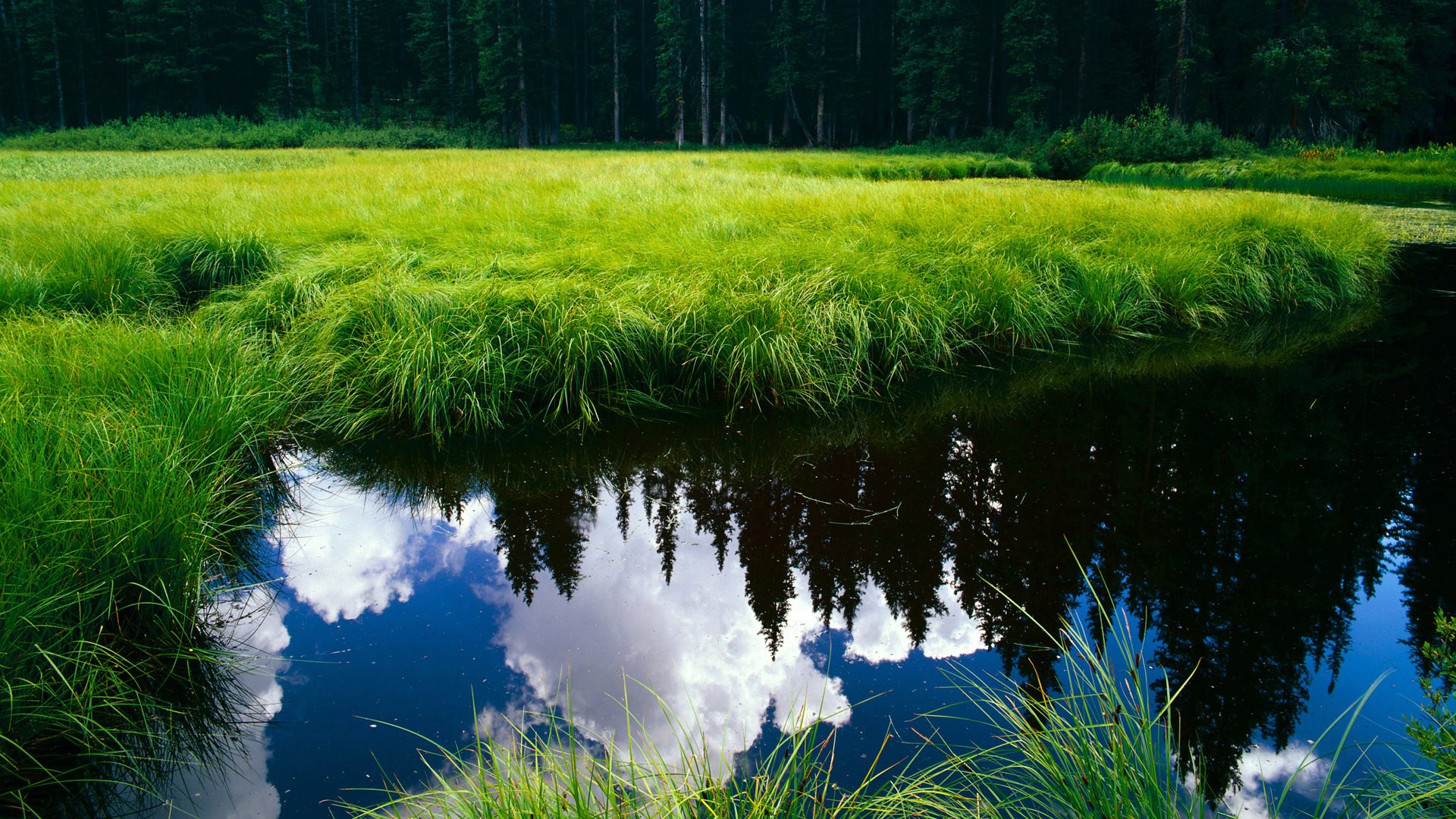 爱游戏娱乐-今夜再无重播，霍勒迪与那记球鞋与草地的约定