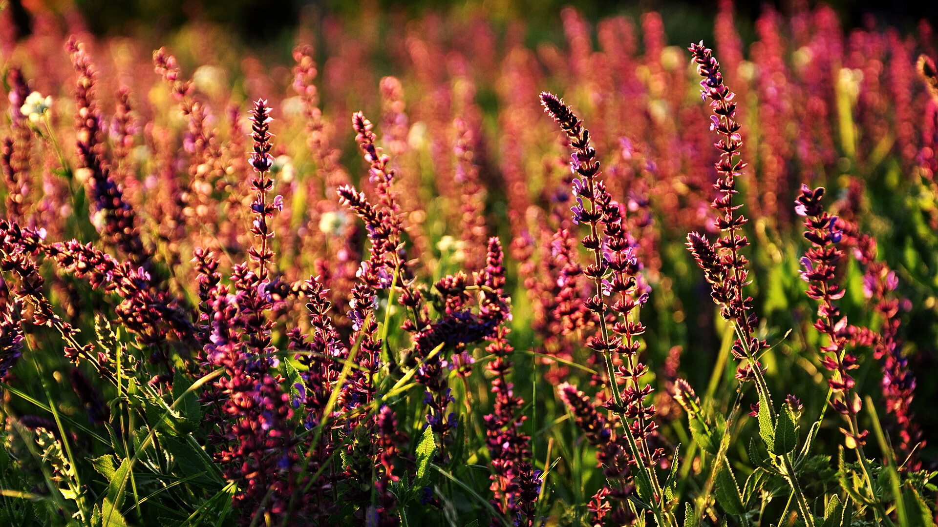 黄喜灿终场怒射破冰,安哥拉妙手锁链冰岛,一场冰与火的战术缠斗