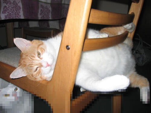 镜像宇宙巅峰战，末节死神降临，篮网跨时空带走山西队