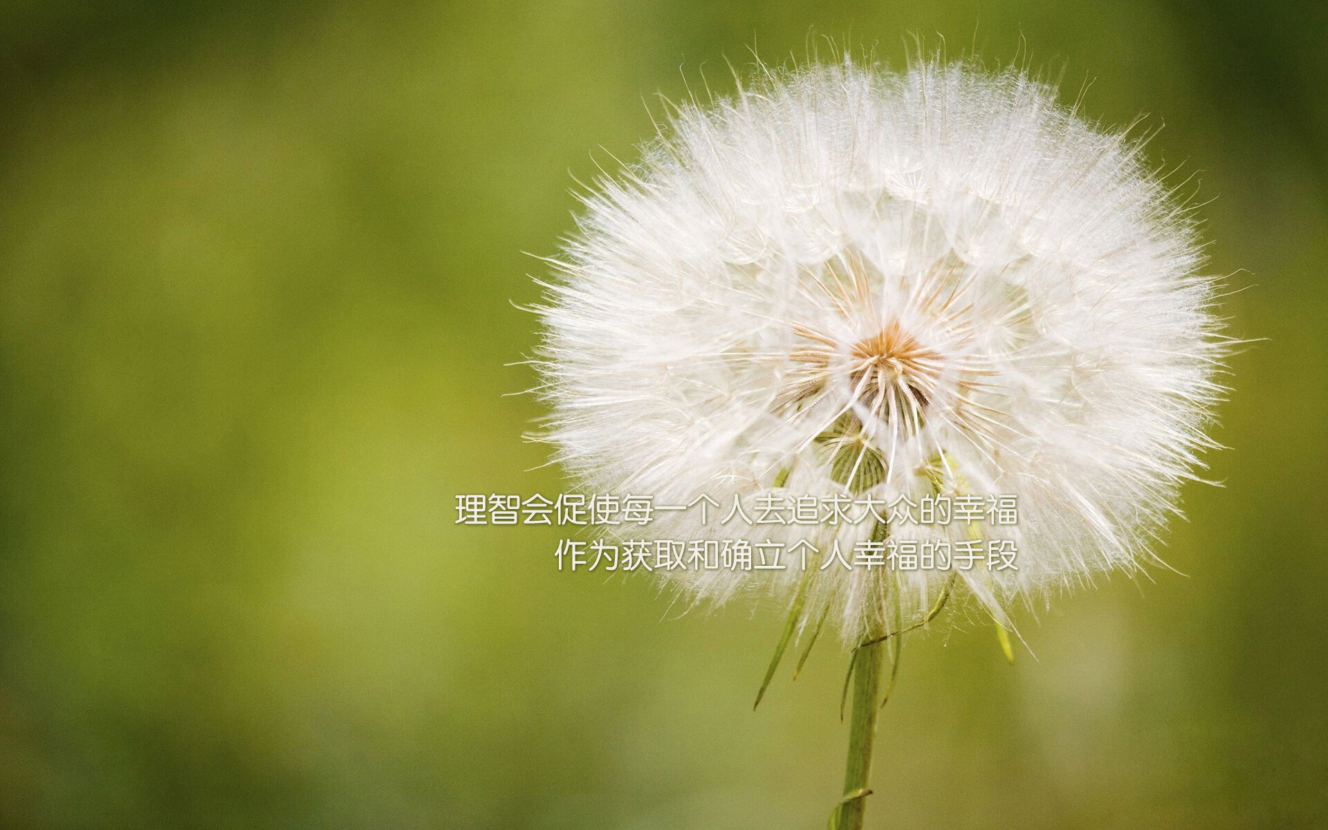 铁血日耳曼战车碾过匈牙利，格列兹曼独舞，一场属于硬汉的世界杯争冠宣言