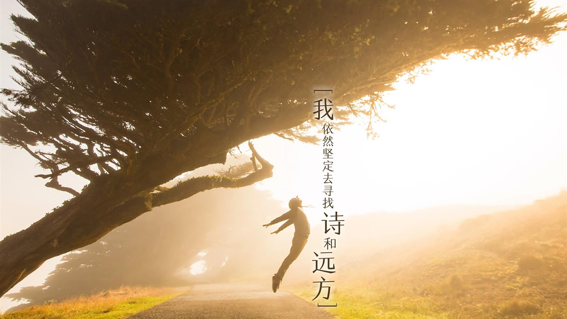 独一瞬的统治，2026世界杯，荷兰的节奏、三笘薰的绝杀与足球的不可复制之美