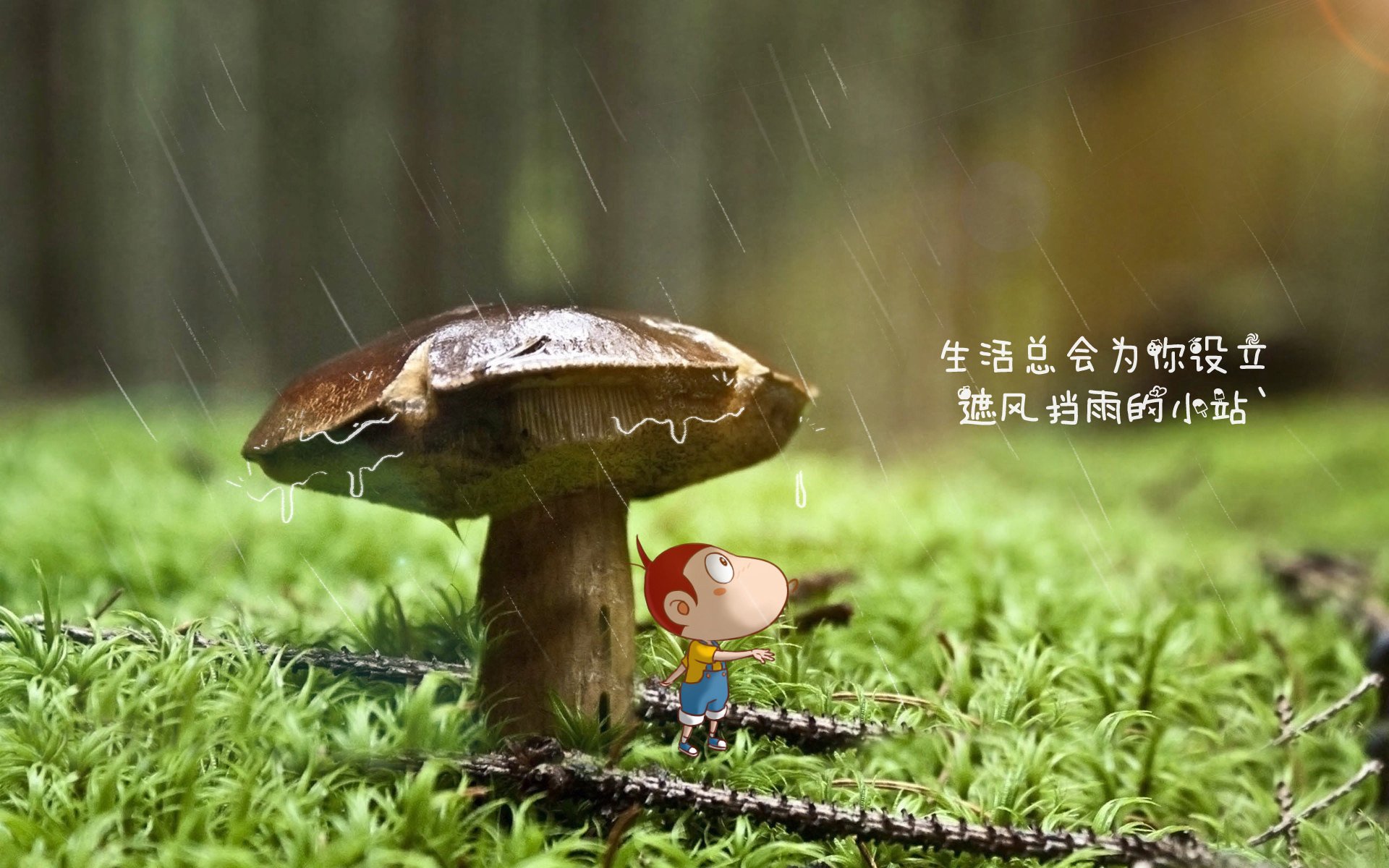 绝地反击,2026世界杯E组惊天一幕,加纳逆转葡萄牙,孙兴慜独木难支却闪耀全场