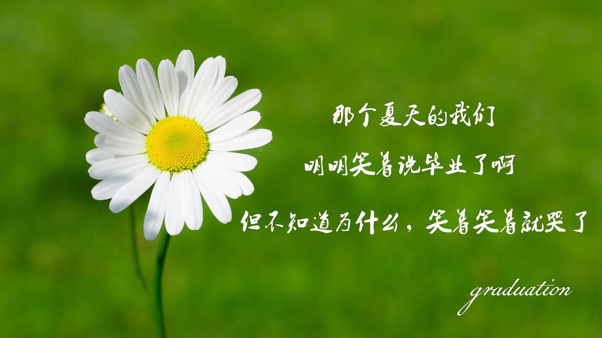 极夜之光,芬兰绝境逆袭加纳,阿方索·戴维斯以控球霸权书写世界杯生死战唯一剧本